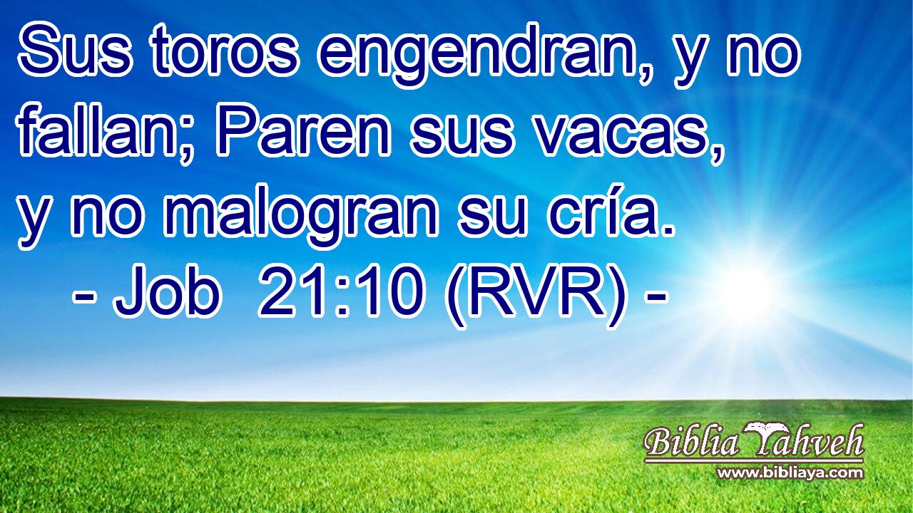 Sus toros engendran, y no fallan; Paren sus vacas, y no malogran su cría.