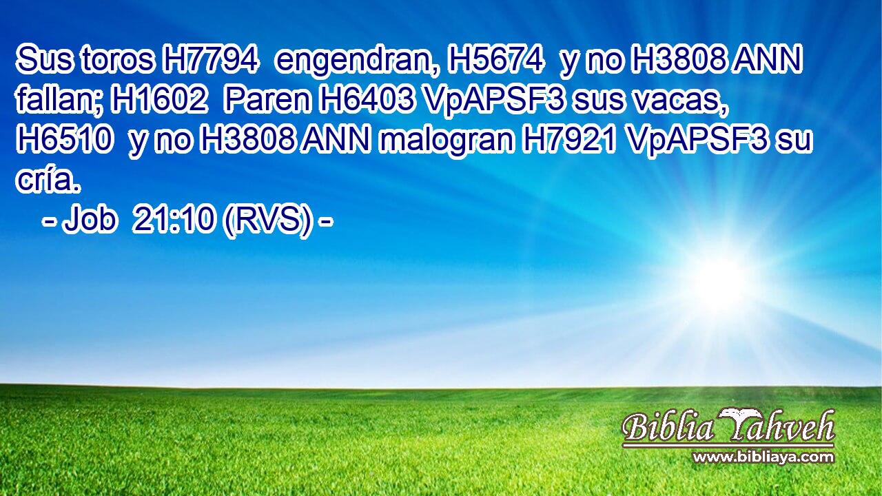 Sus toros H7794  engendran, H5674  y no H3808 ANN fallan; H1602  Paren H6403 VpAPSF3 sus vacas, H6510  y no H3808 ANN malogran H7921 VpAPSF3 su cría. 
