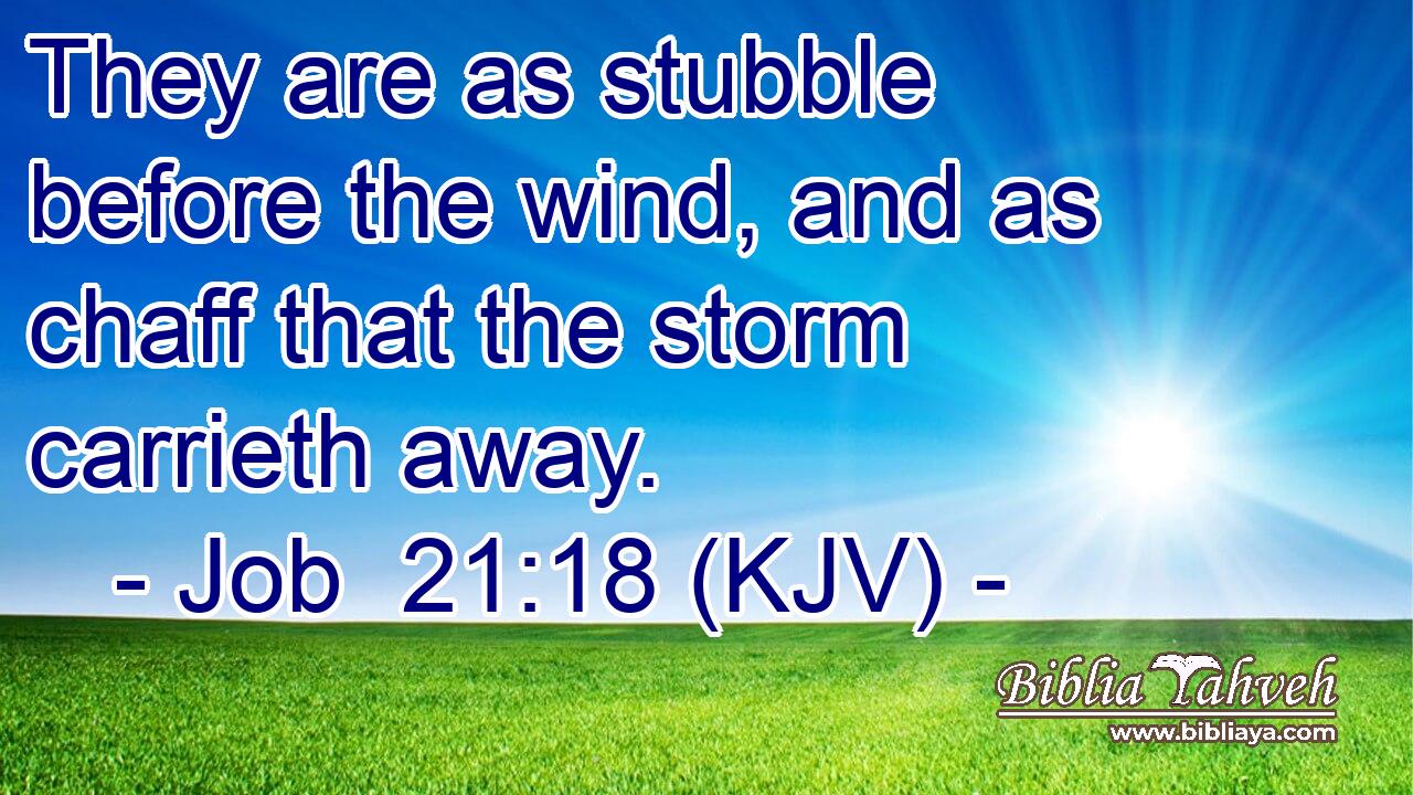 They are as stubble before the wind, and as chaff that the storm carrieth away.