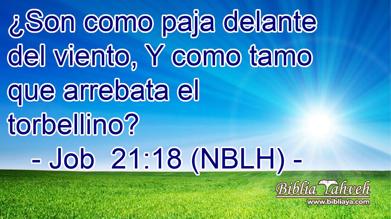  ¿Son como paja delante del viento, Y como tamo que arrebata el torbellino? 