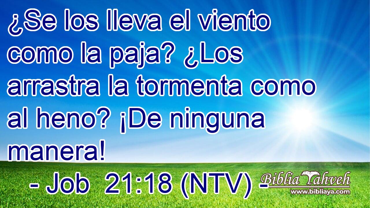¿Se los lleva el viento como la paja? ¿Los arrastra la tormenta como al heno? ¡De ninguna manera!