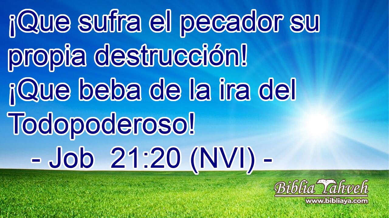  ¡Que sufra el pecador su propia destrucción! ¡Que beba de la ira del Todopoderoso! 