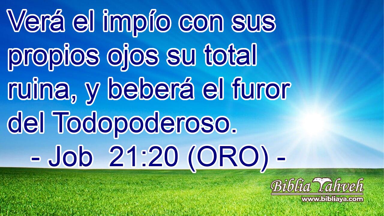  Verá el impío con sus propios ojos su total ruina, y beberá el furor del Todopoderoso. 