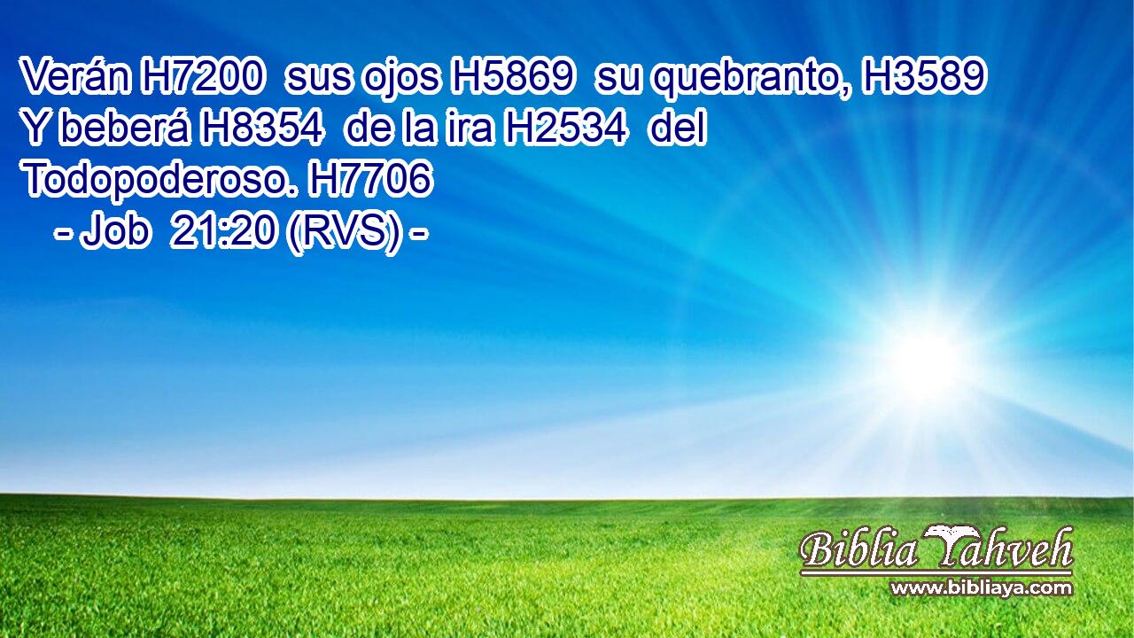 Verán H7200  sus ojos H5869  su quebranto, H3589  Y beberá H8354  de la ira H2534  del Todopoderoso. H7706  