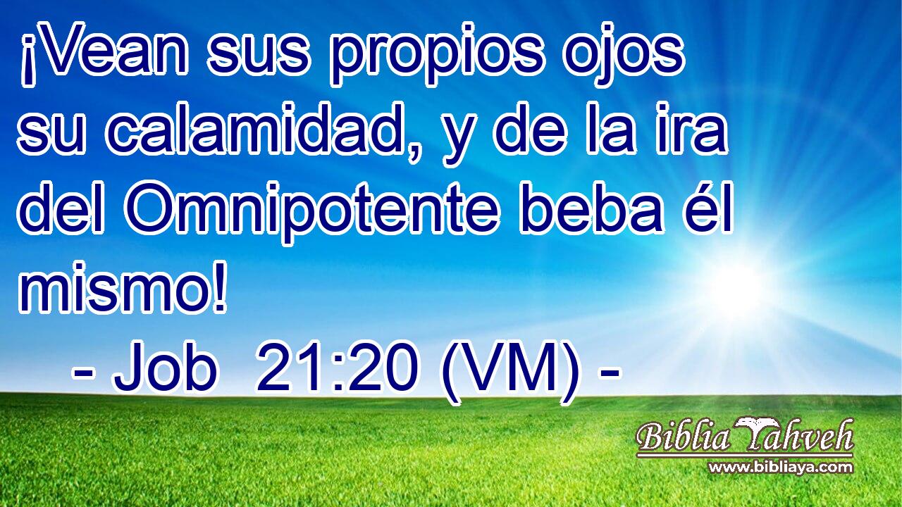  ¡Vean sus propios ojos su calamidad, y de la ira del Omnipotente beba él mismo! 