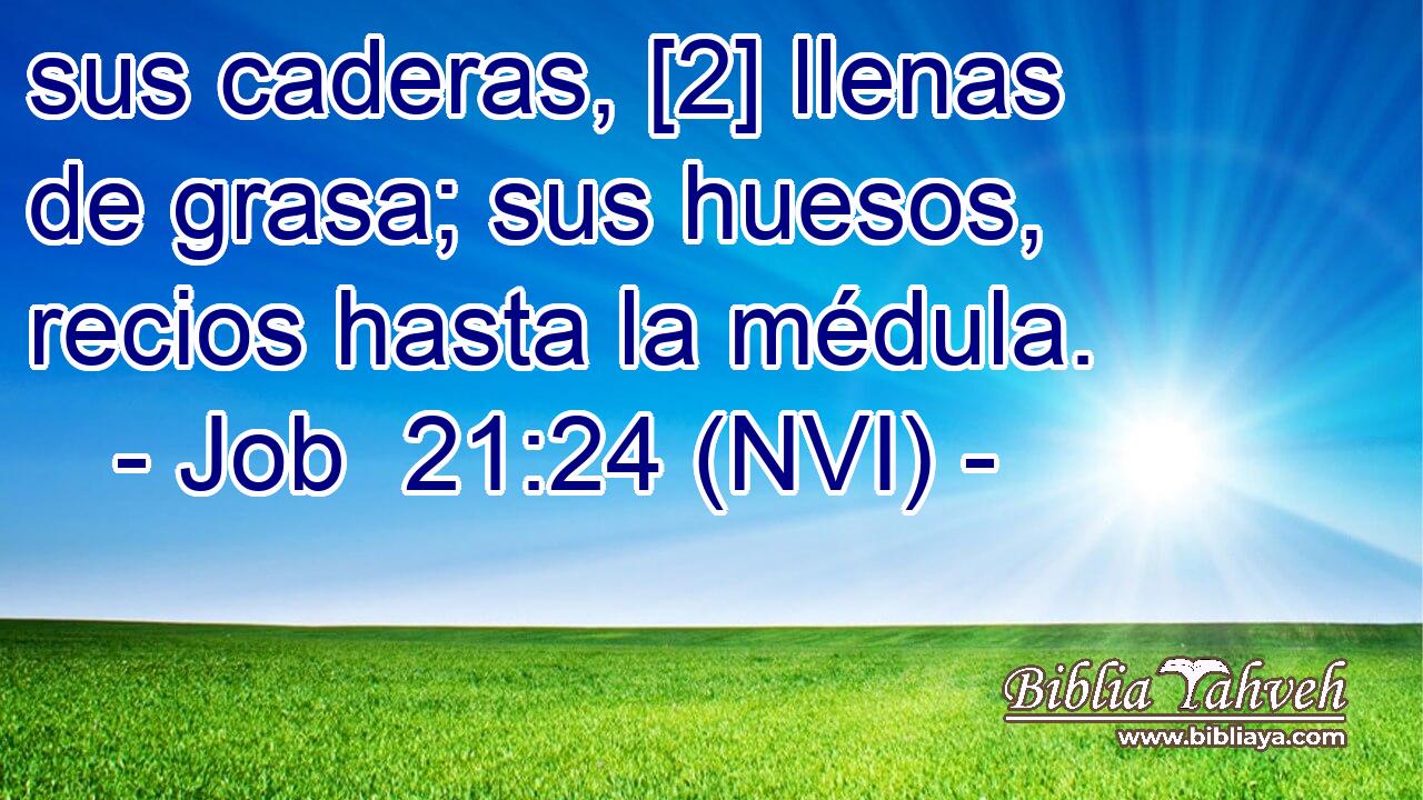  sus caderas, [2] llenas de grasa; sus huesos, recios hasta la médula. 