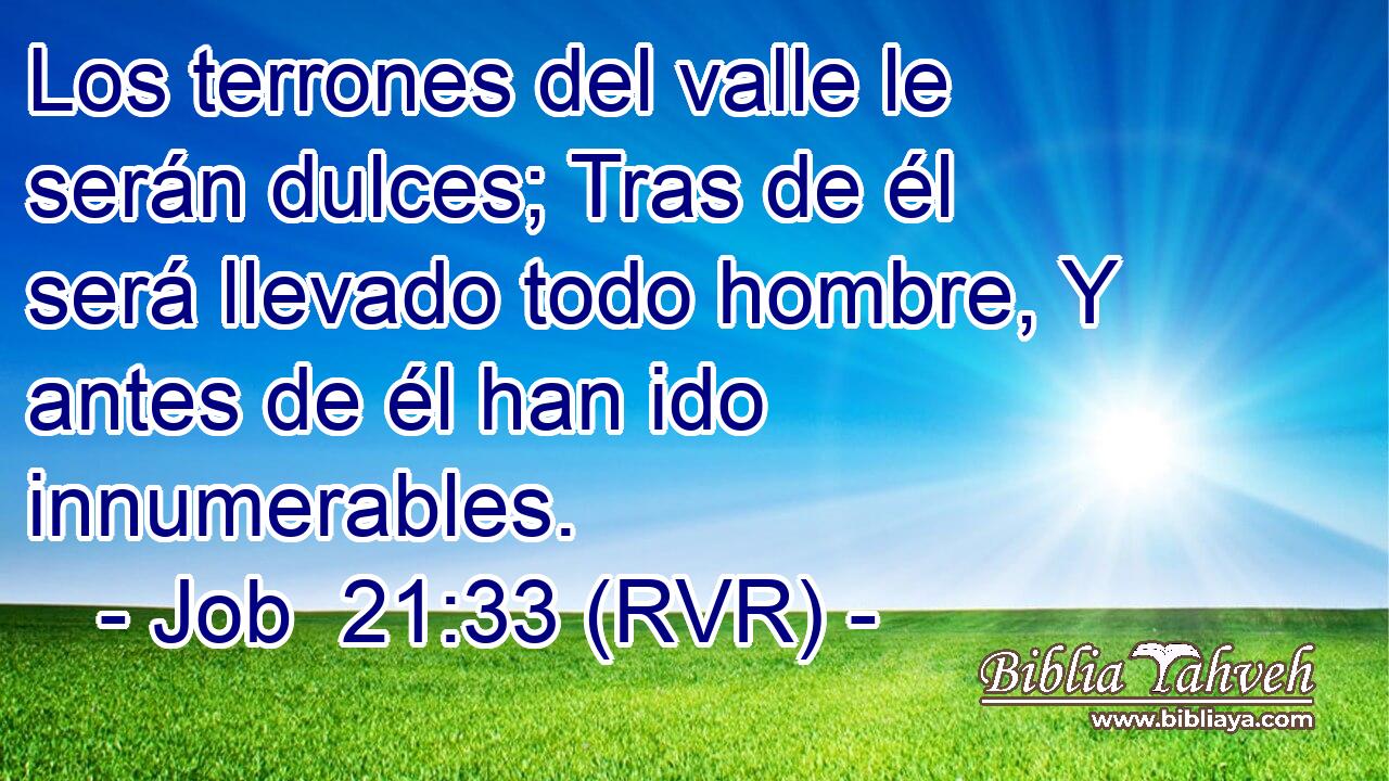 Los terrones del valle le serán dulces; Tras de él será llevado todo hombre, Y antes de él han ido innumerables.