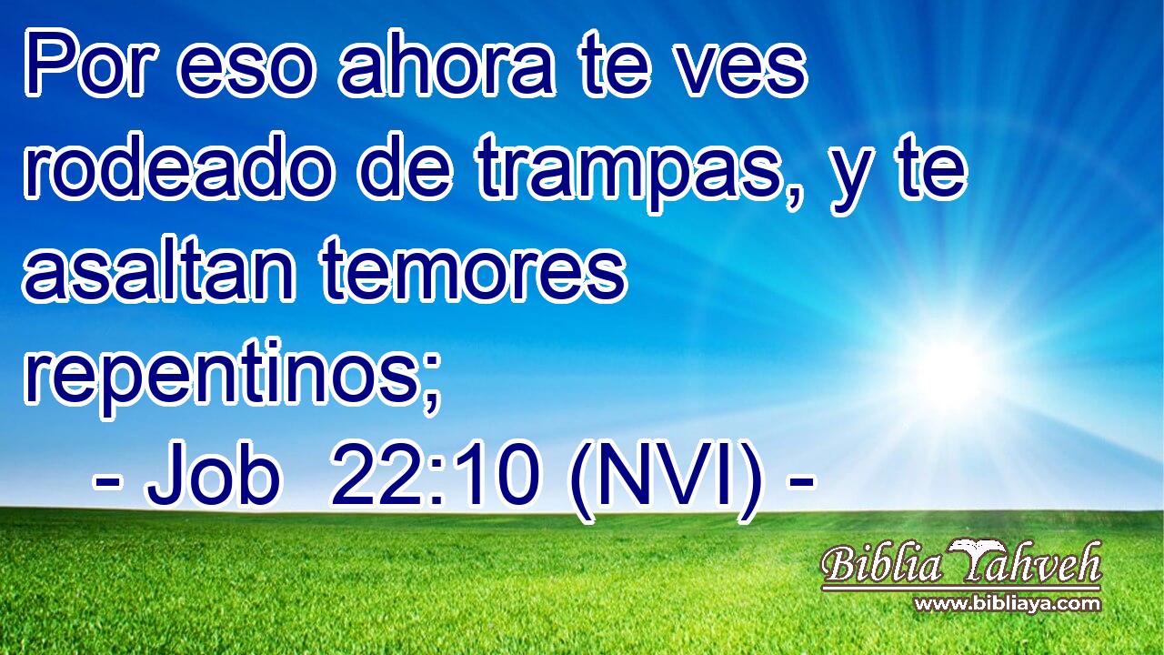  Por eso ahora te ves rodeado de trampas, y te asaltan temores repentinos; 