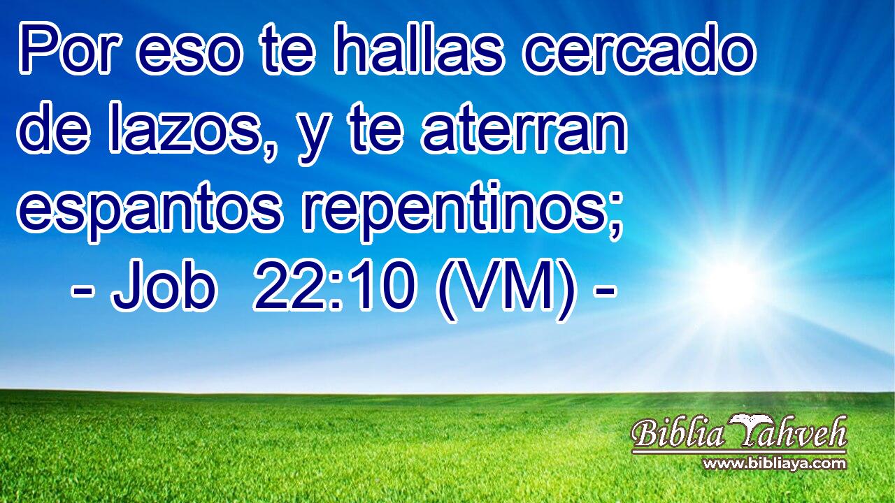  Por eso te hallas cercado de lazos, y te aterran espantos repentinos; 