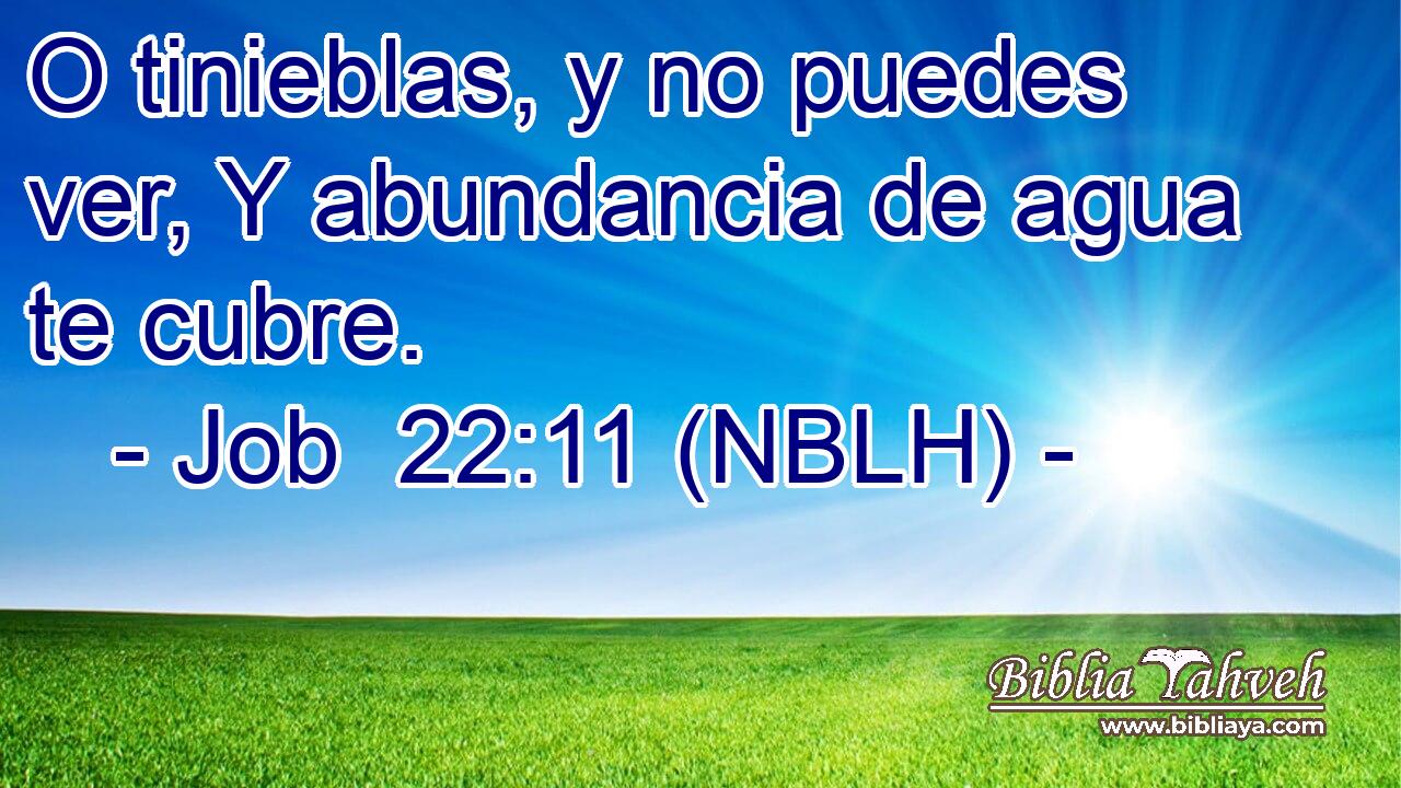  O tinieblas, y no puedes ver, Y abundancia de agua te cubre. 