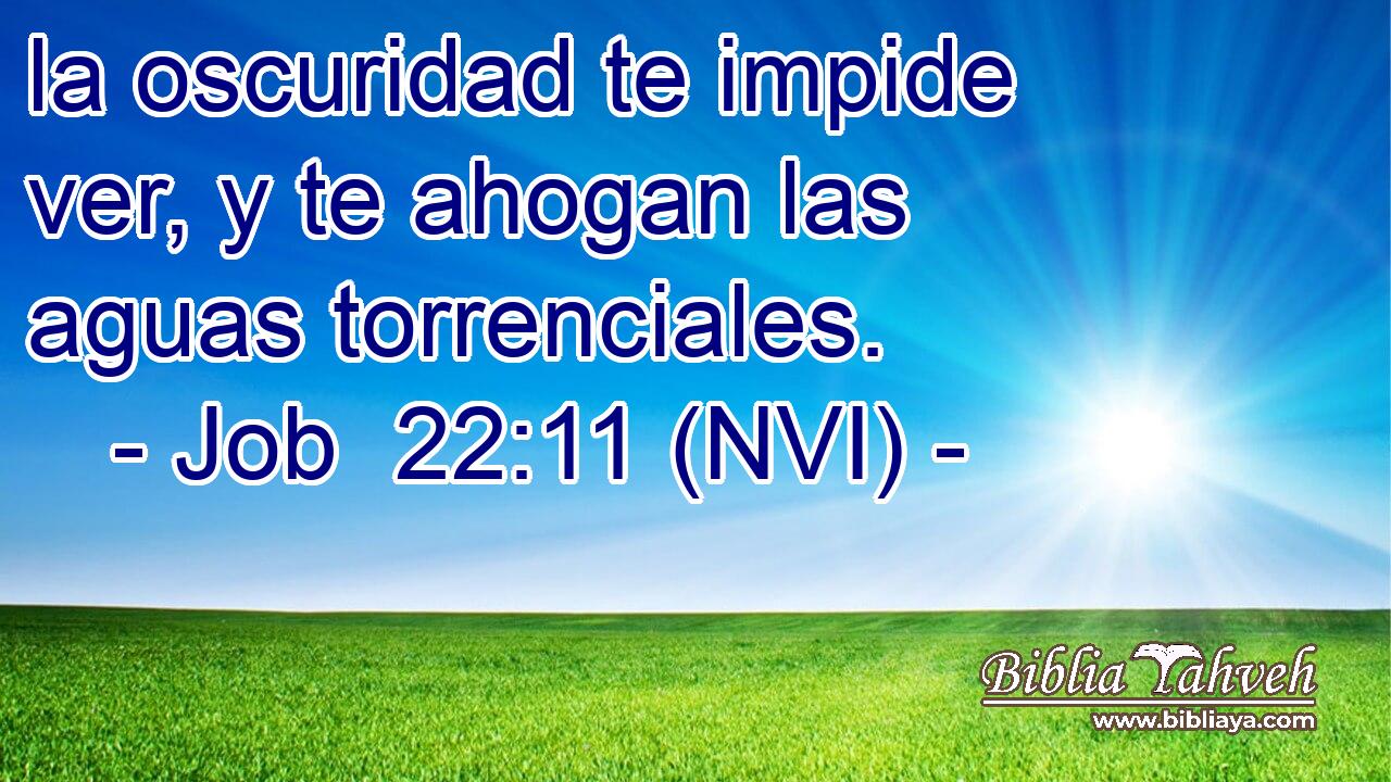  la oscuridad te impide ver, y te ahogan las aguas torrenciales. 