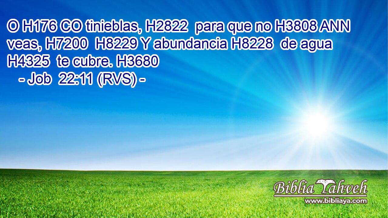 O H176 CO tinieblas, H2822  para que no H3808 ANN veas, H7200  H8229 Y abundancia H8228  de agua H4325  te cubre. H3680  