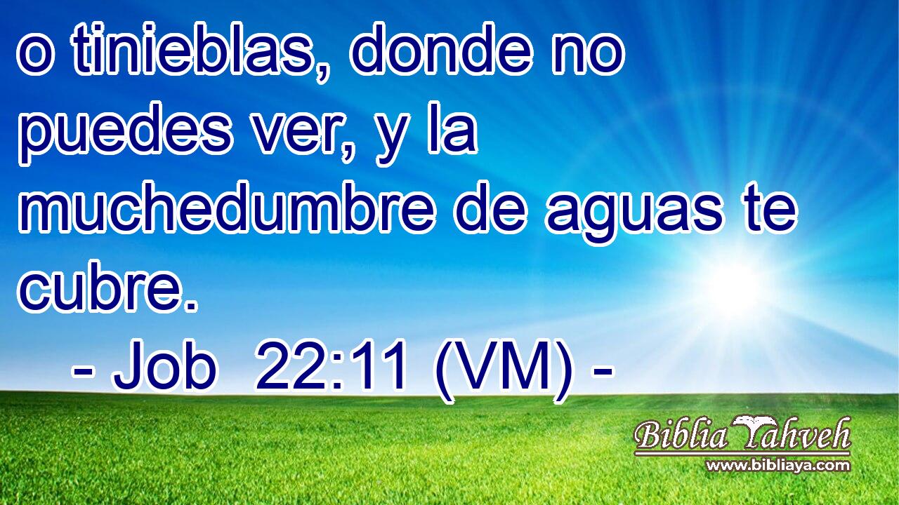  o tinieblas, donde no puedes ver, y la muchedumbre de aguas te cubre. 