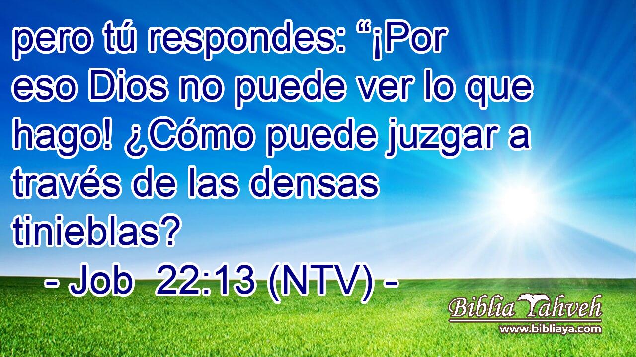 pero tú respondes: “¡Por eso Dios no puede ver lo que hago! ¿Cómo puede juzgar a través de las densas tinieblas?
