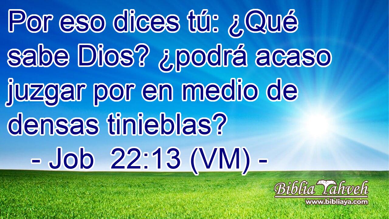  Por eso dices tú: ¿Qué sabe Dios? ¿podrá acaso juzgar por en medio de densas tinieblas? 