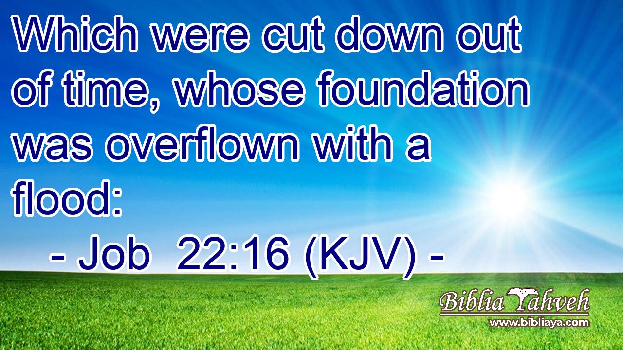 Which were cut down out of time, whose foundation was overflown with a flood: