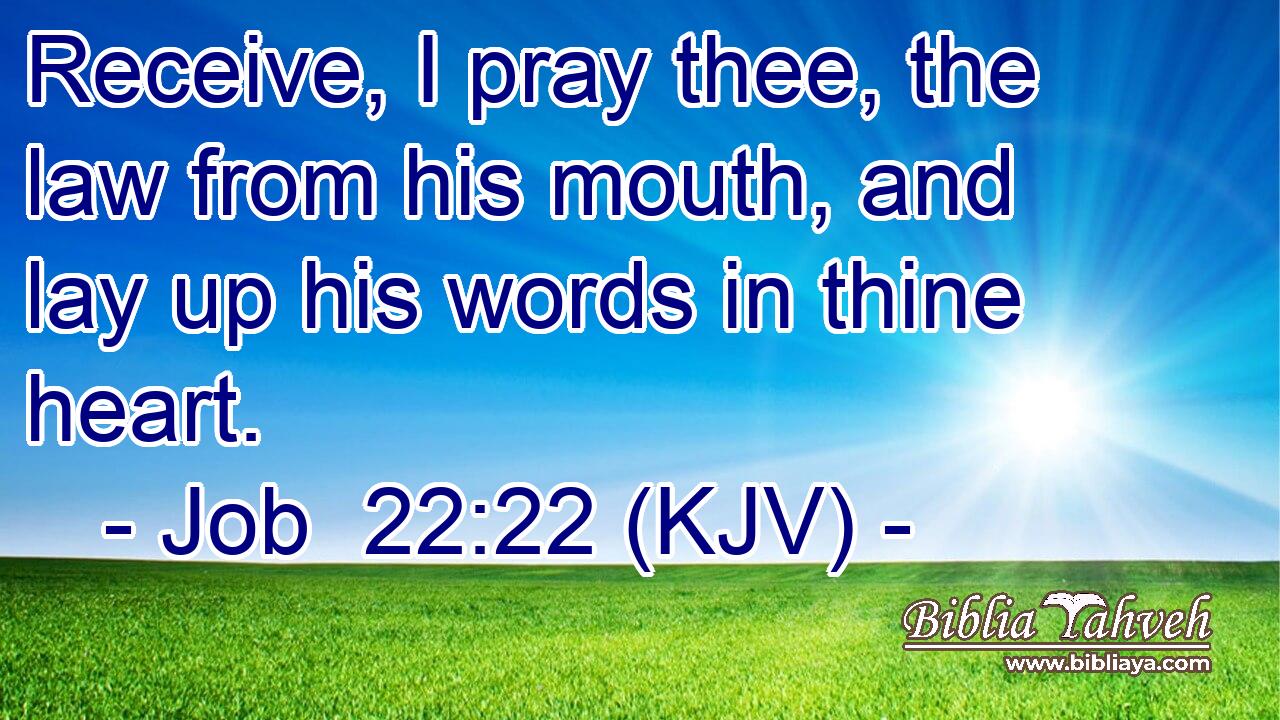 Receive, I pray thee, the law from his mouth, and lay up his words in thine heart.