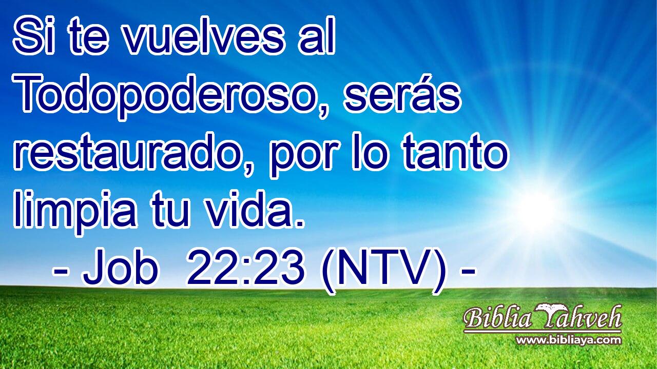 Si te vuelves al Todopoderoso, serás restaurado, por lo tanto limpia tu vida.