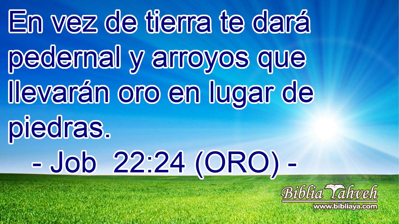  En vez de tierra te dará pedernal y arroyos que llevarán oro en lugar de piedras. 