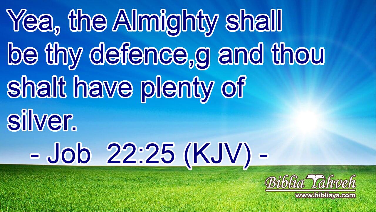 Yea, the Almighty shall be thy defence,g and thou shalt have plenty of silver.