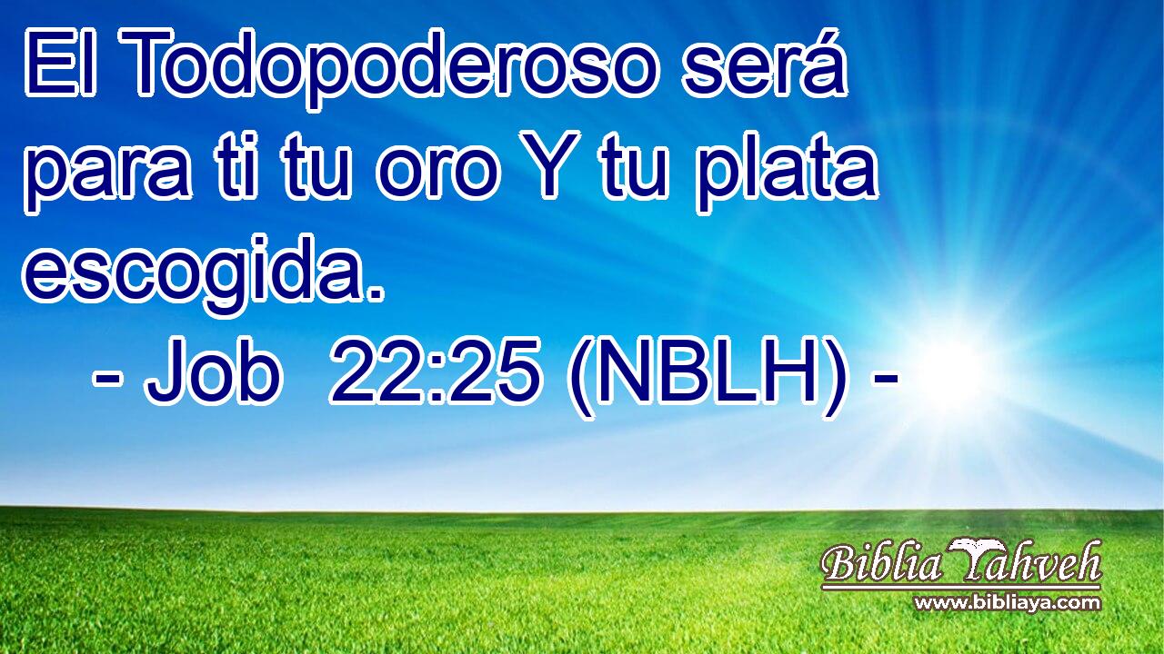  El Todopoderoso será para ti tu oro Y tu plata escogida. 