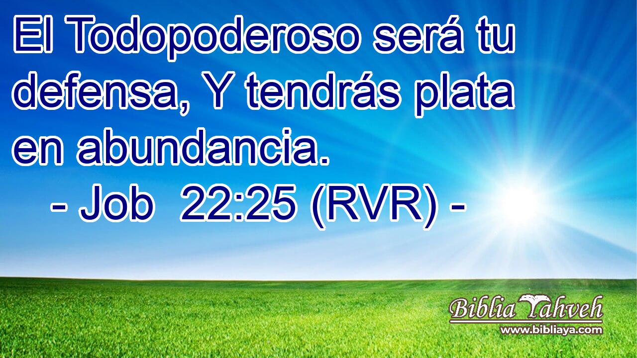 El Todopoderoso será tu defensa, Y tendrás plata en abundancia.
