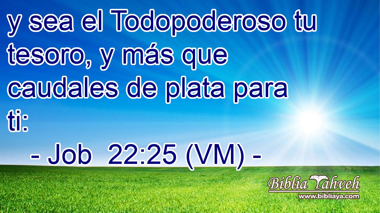  y sea el Todopoderoso tu tesoro, y más que caudales de plata para ti: 