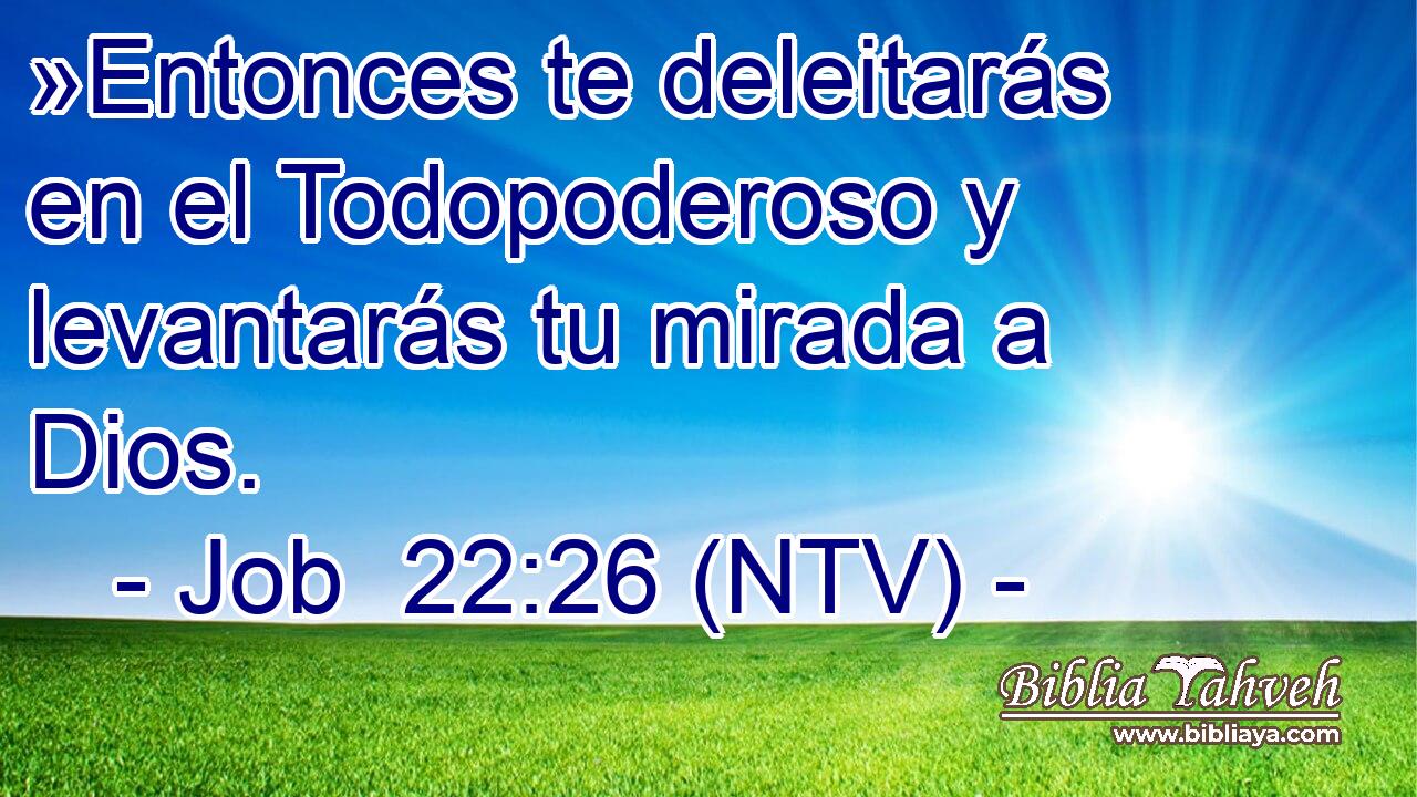 »Entonces te deleitarás en el Todopoderoso y levantarás tu mirada a Dios.
