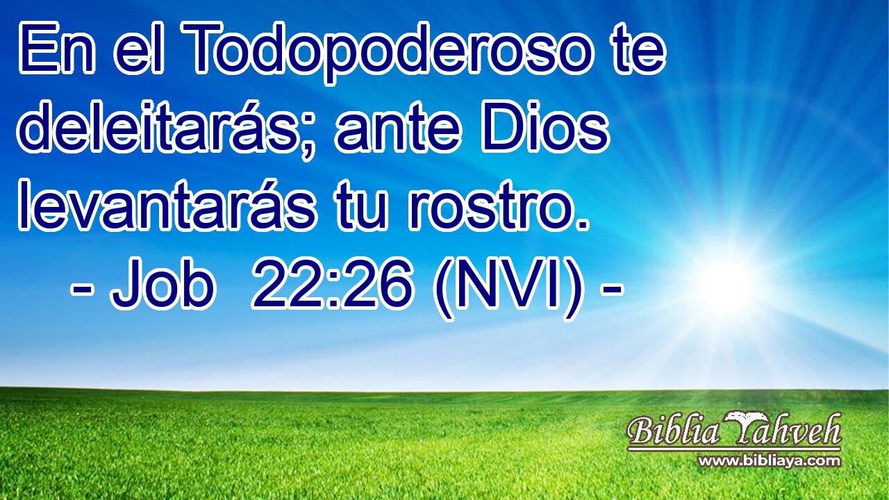  En el Todopoderoso te deleitarás; ante Dios levantarás tu rostro. 