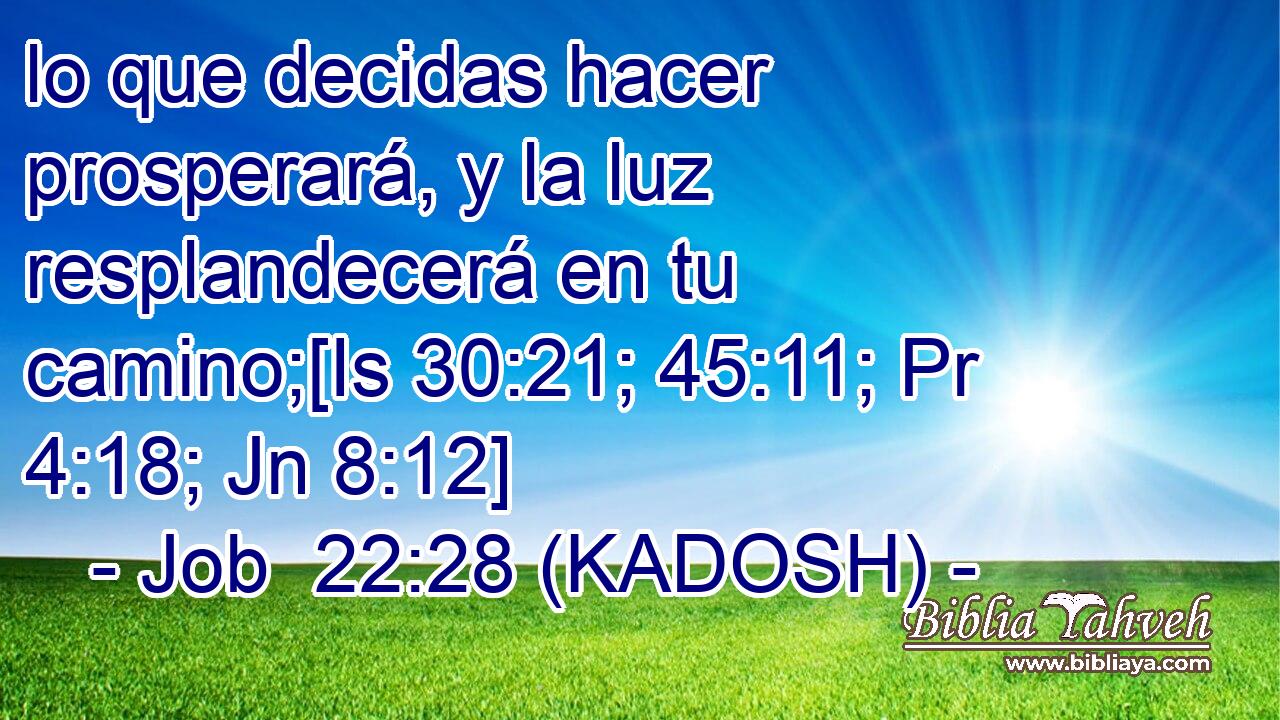  lo que decidas hacer prosperará, y la luz resplandecerá en tu camino;[Is 30:21; 45:11; Pr 4:18; Jn 8:12] 