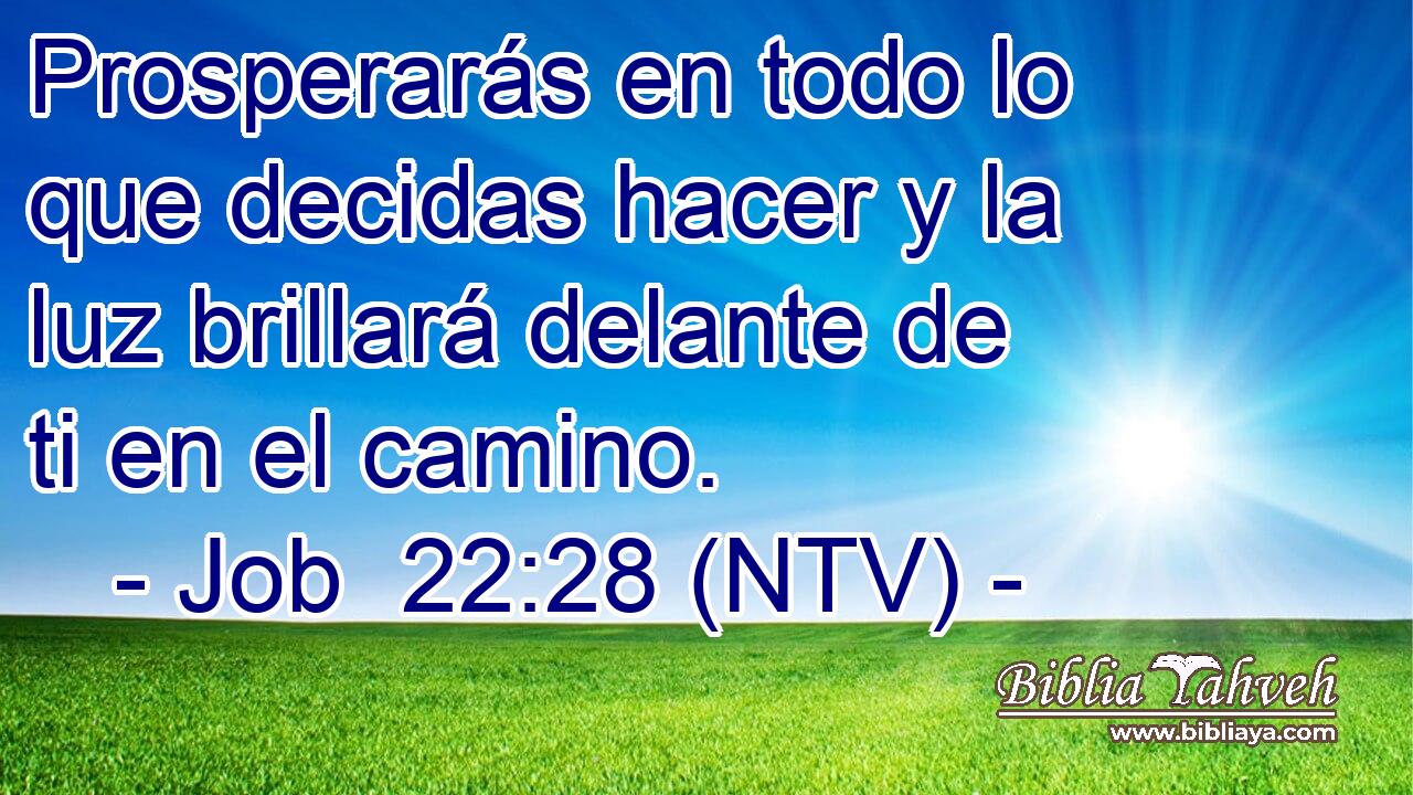 Prosperarás en todo lo que decidas hacer y la luz brillará delante de ti en el camino.