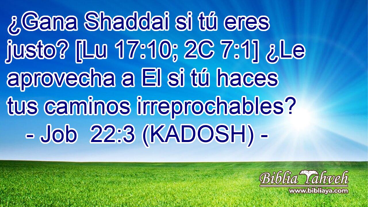  ¿Gana Shaddai si tú eres justo? [Lu 17:10; 2C 7:1] ¿Le aprovecha a El si tú haces tus caminos irreprochables? 