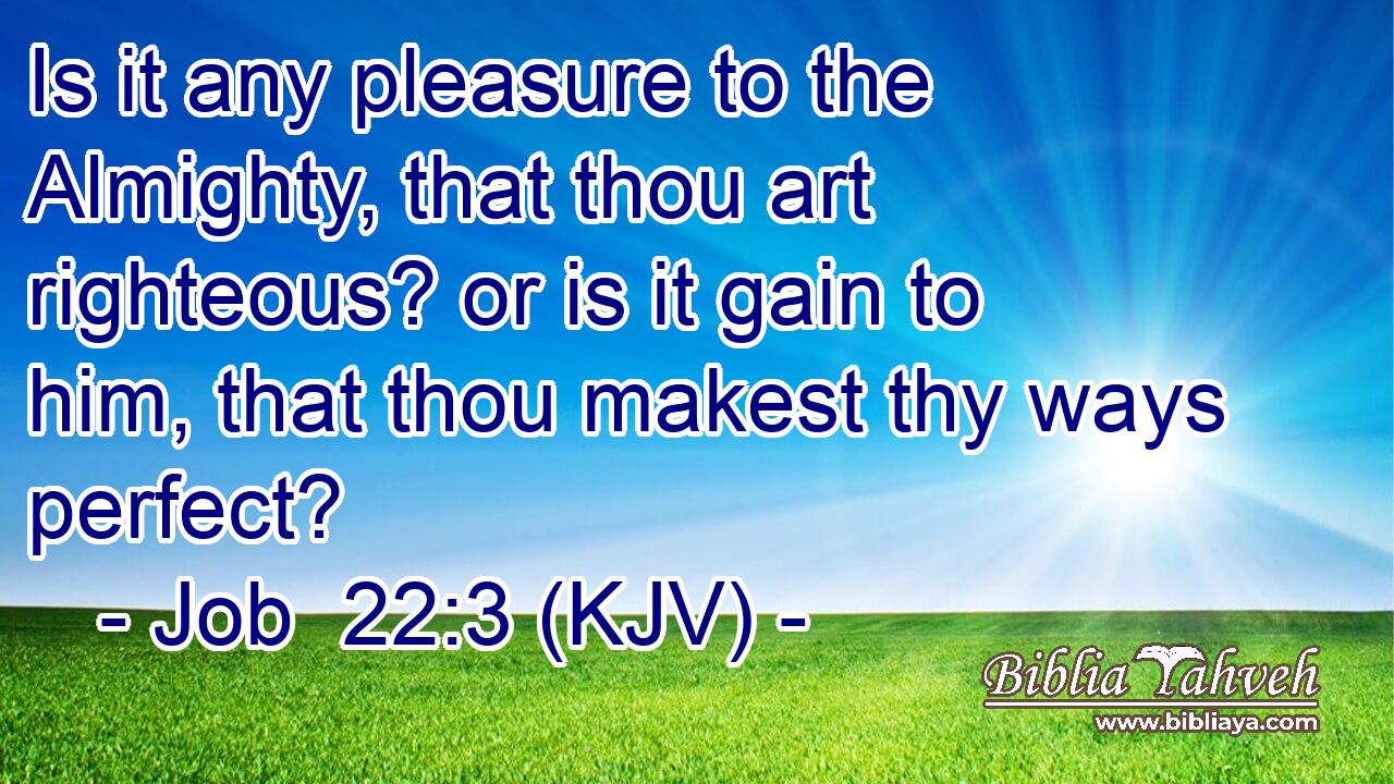 Is it any pleasure to the Almighty, that thou art righteous? or is it gain to him, that thou makest thy ways perfect?