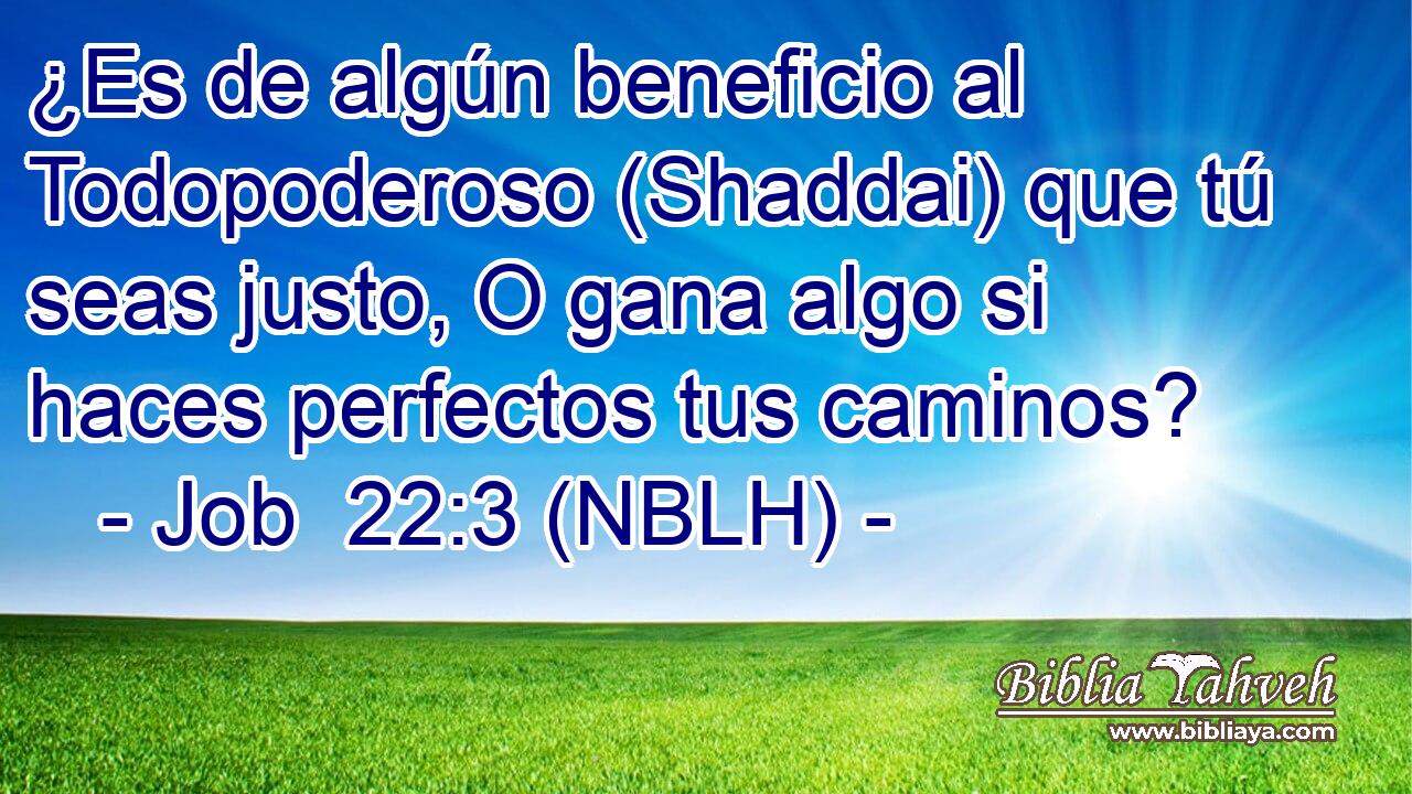  ¿Es de algún beneficio al Todopoderoso (Shaddai) que tú seas justo, O gana algo si haces perfectos tus caminos? 