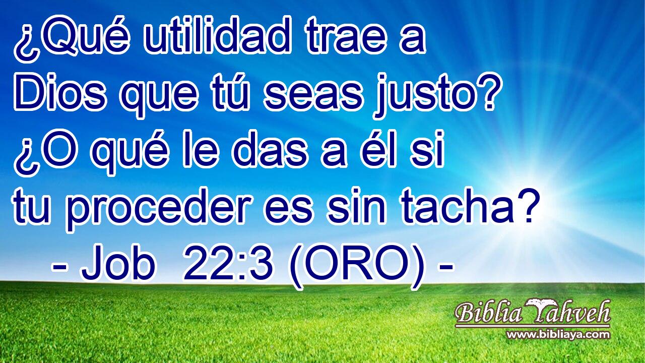  ¿Qué utilidad trae a Dios que tú seas justo? ¿O qué le das a él si tu proceder es sin tacha? 