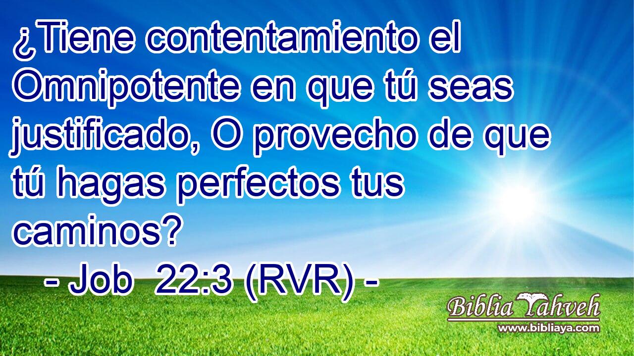 ¿Tiene contentamiento el Omnipotente en que tú seas justificado, O provecho de que tú hagas perfectos tus caminos?