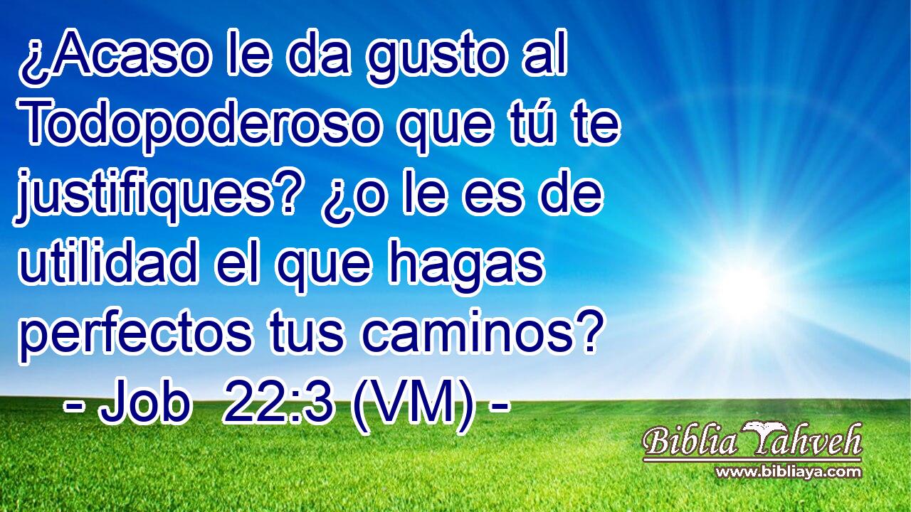  ¿Acaso le da gusto al Todopoderoso que tú te justifiques? ¿o le es de utilidad el que hagas perfectos tus caminos? 