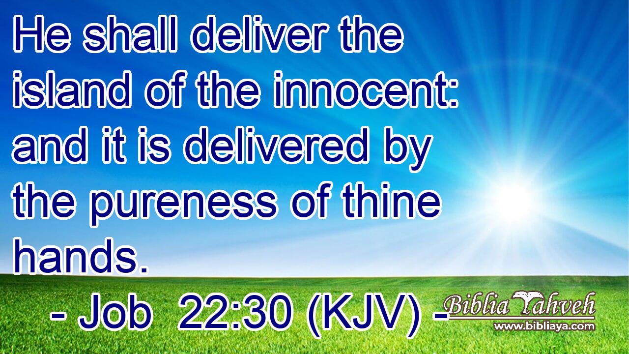 He shall deliver the island of the innocent: and it is delivered by the pureness of thine hands.