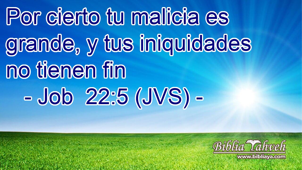 Por cierto tu malicia es grande, y tus iniquidades no tienen fin