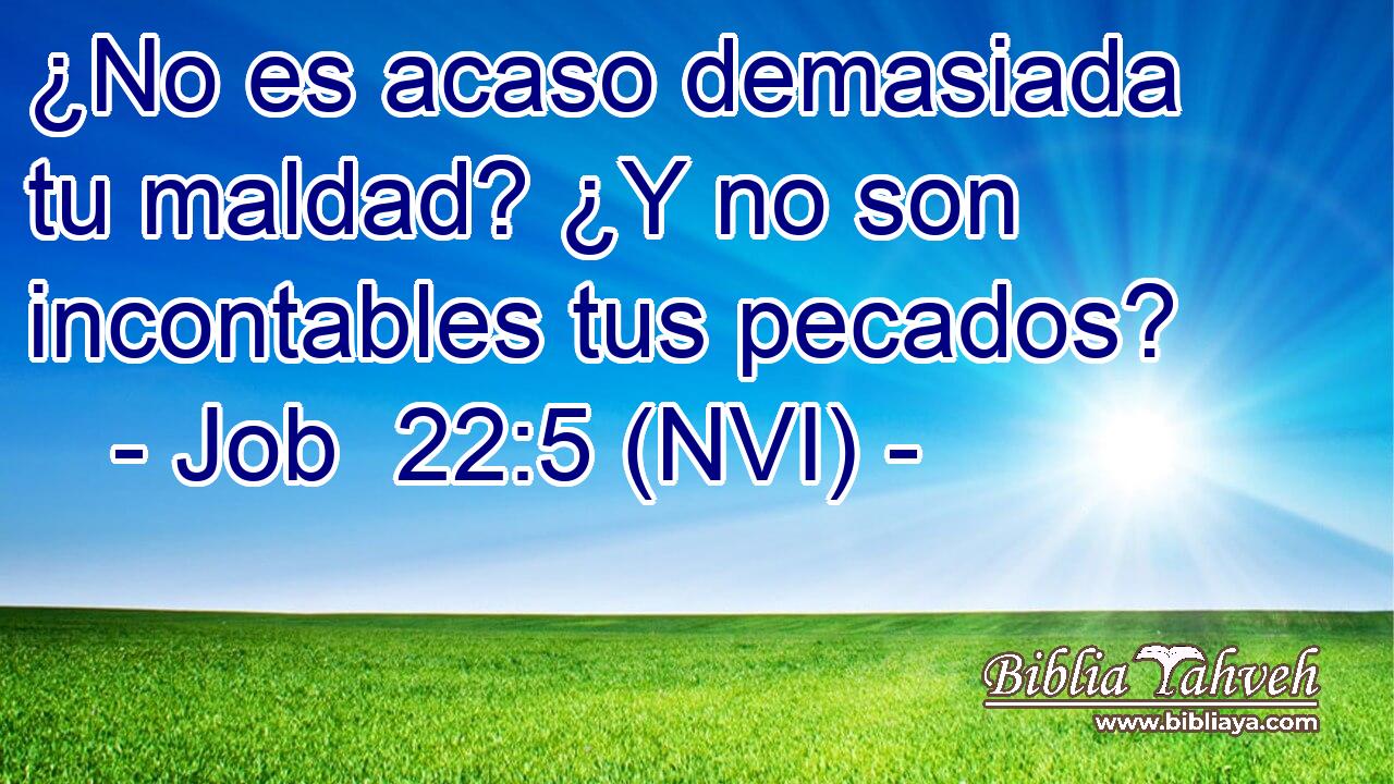  ¿No es acaso demasiada tu maldad? ¿Y no son incontables tus pecados? 