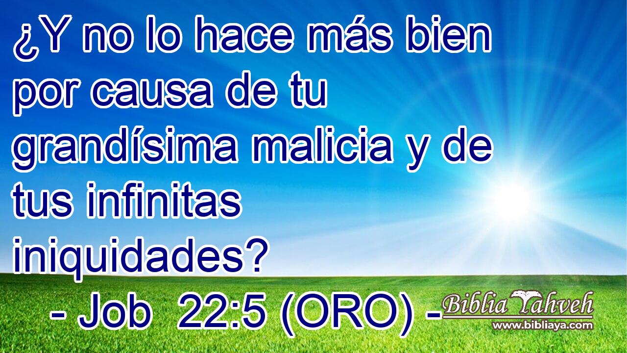  ¿Y no lo hace más bien por causa de tu grandísima malicia y de tus infinitas iniquidades? 