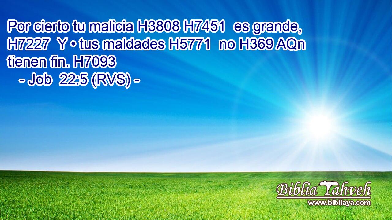 Por cierto tu malicia H3808 H7451  es grande, H7227  Y • tus maldades H5771  no H369 AQn tienen fin. H7093  