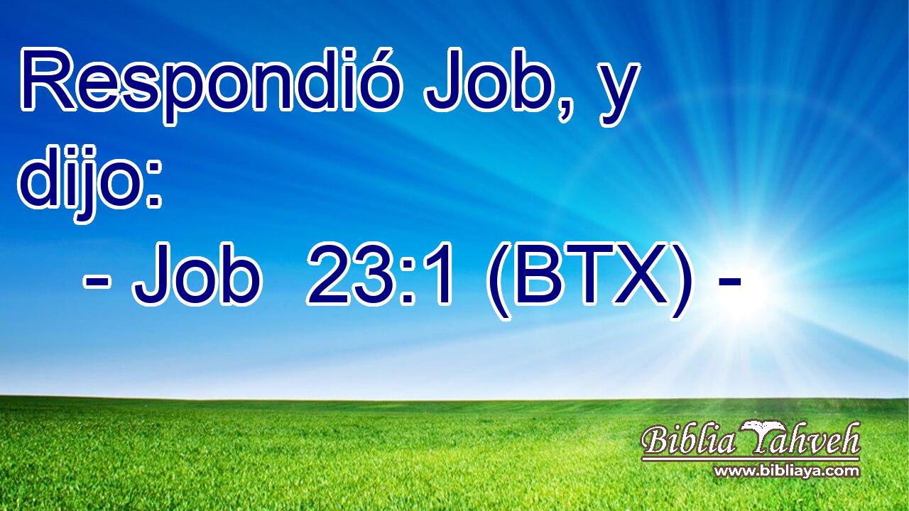 Respondió Job, y dijo: