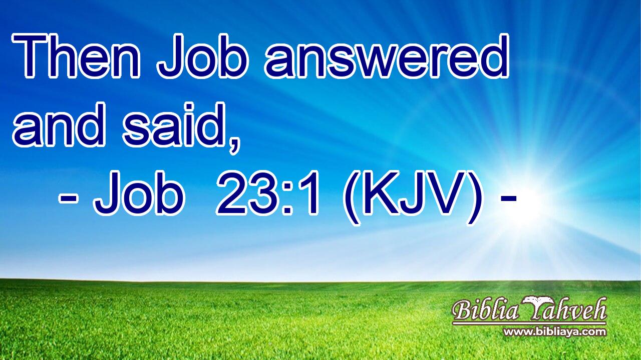 Then Job answered and said,