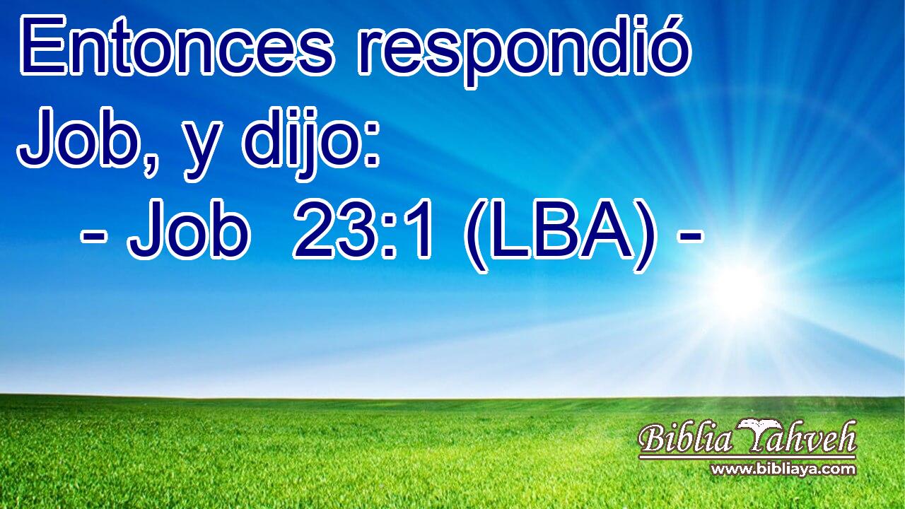 Entonces respondió Job, y dijo: