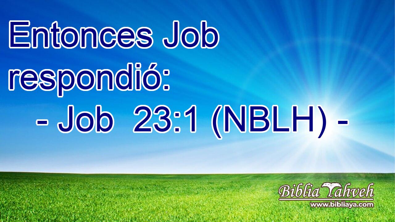  Entonces Job respondió: 