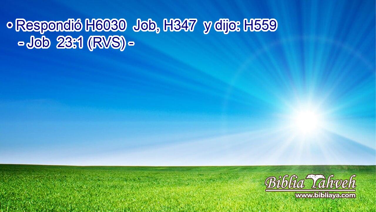 • Respondió H6030  Job, H347  y dijo: H559  