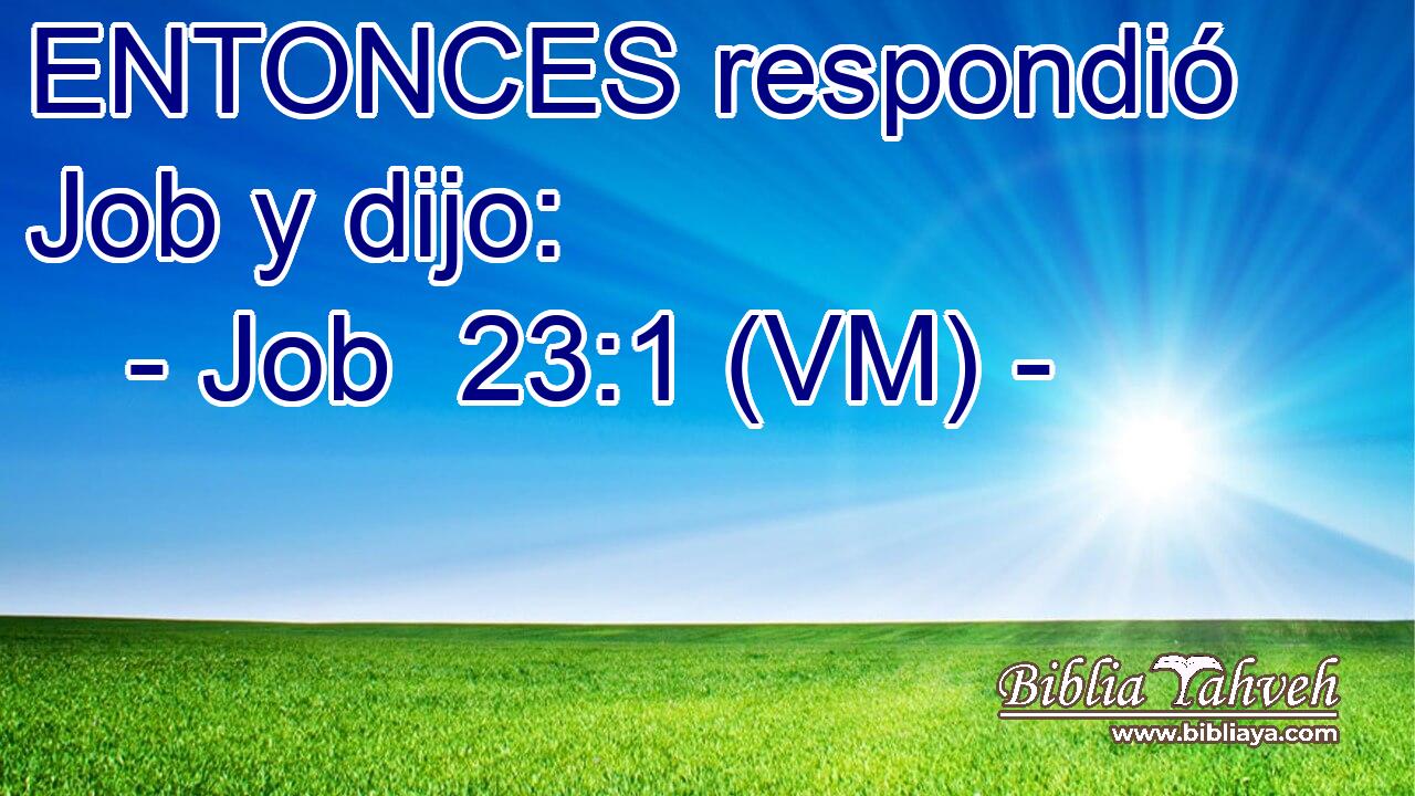  ENTONCES respondió Job y dijo: 