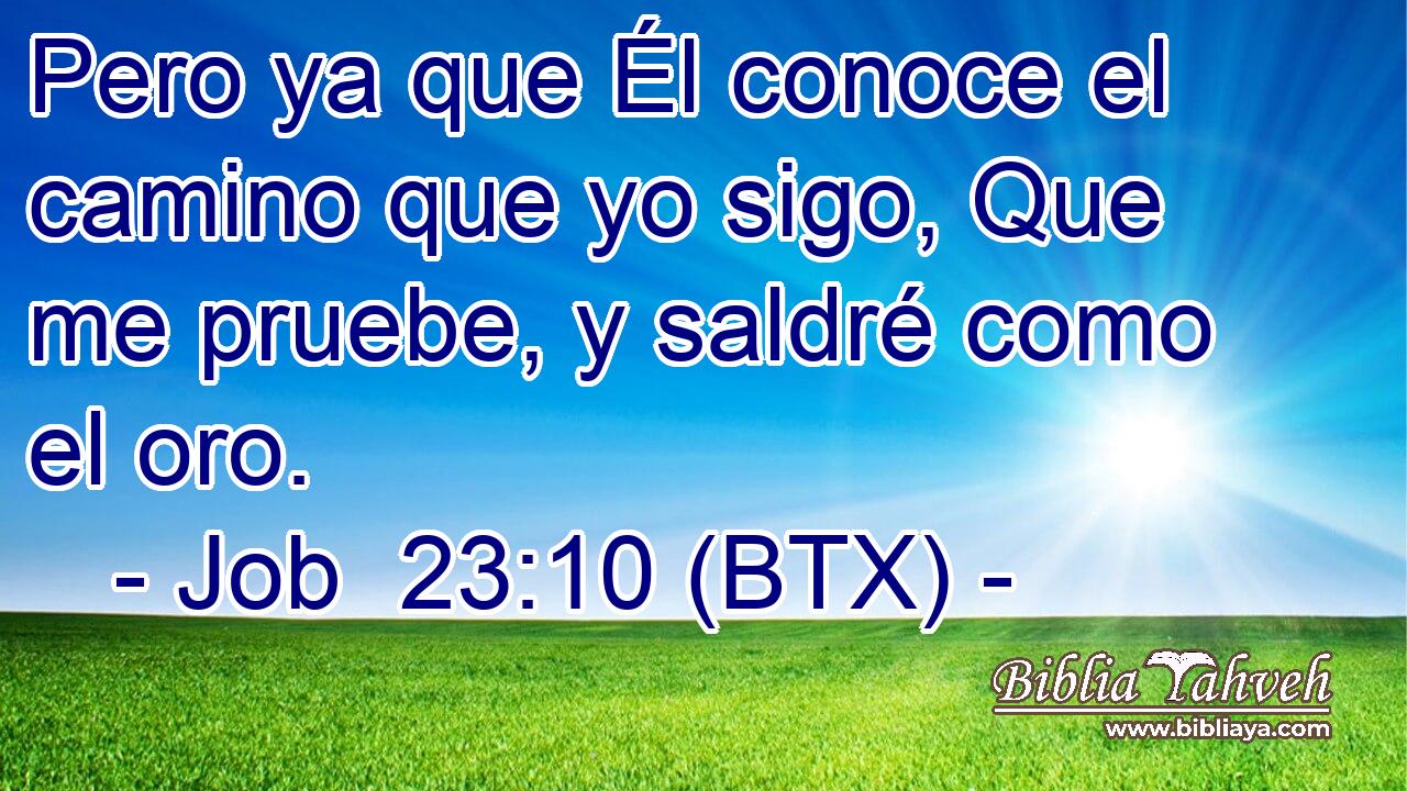 Pero ya que Él conoce el camino que yo sigo, Que me pruebe, y saldré como el oro.