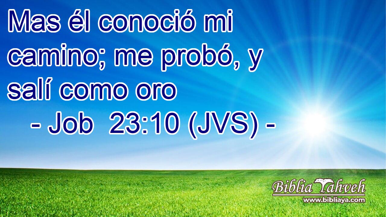 Mas él conoció mi camino; me probó, y salí como oro